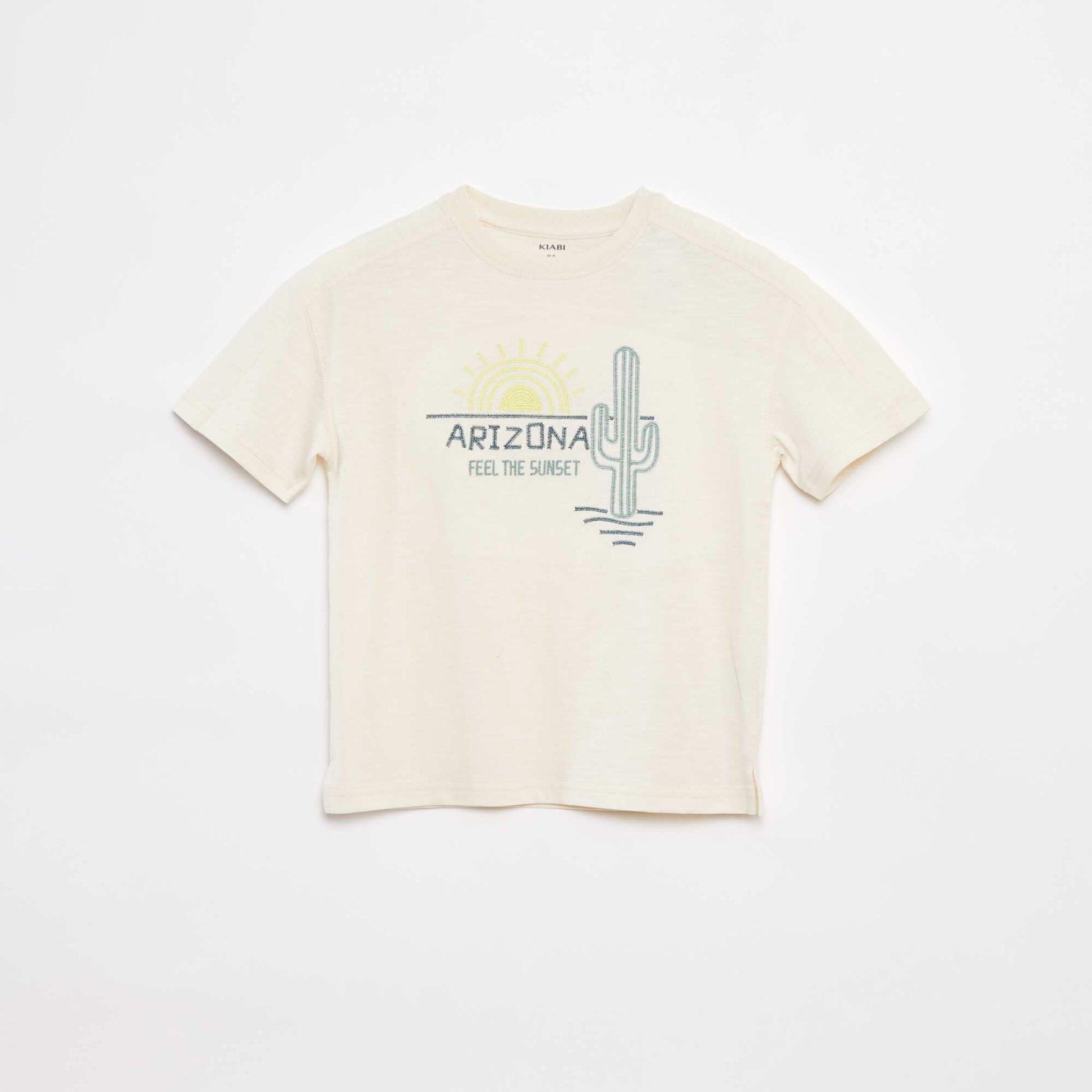 CYY66_1_ZC1